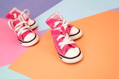 Beyaz arka planda izole edilmiş küçük köpekler için komik pembe ayakkabılar.