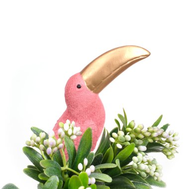 Beyaz arka planda izole edilmiş parlak tropikal kuş