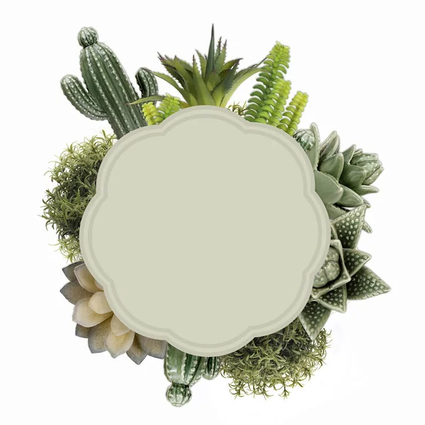 Modello Carta Intestata Foglio Bianco Carta Con Succulente Cactus Isolato — Foto Stock