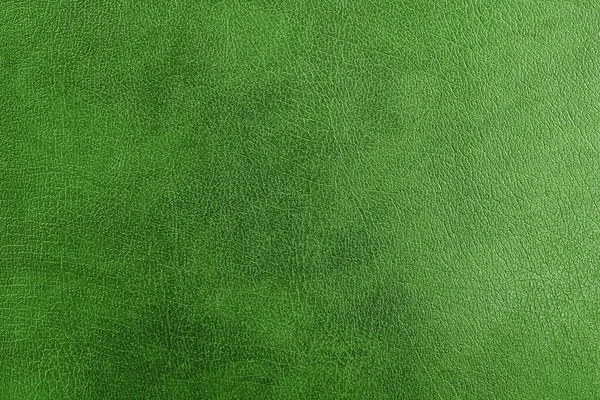 Green Natural Leather Close Isolated Background Design — Stock Photo, Image