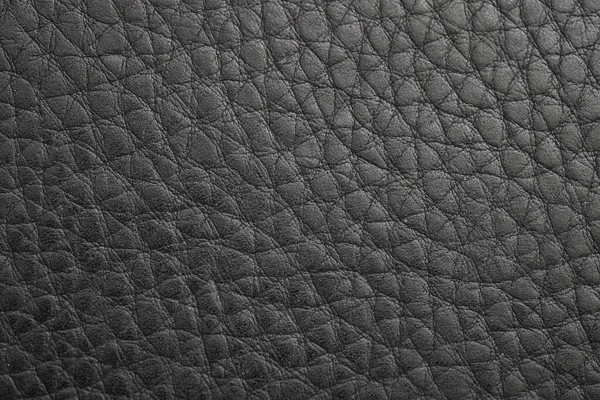 Black Natural Leather Close Isolated Background Design — Stock Photo, Image