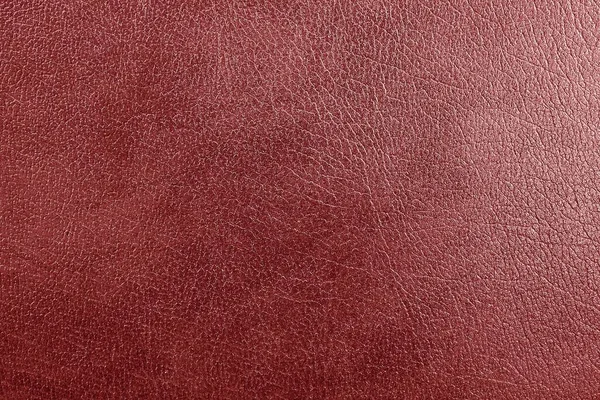 Red Natural Leather Close Isolated Background Design — Stock Photo, Image