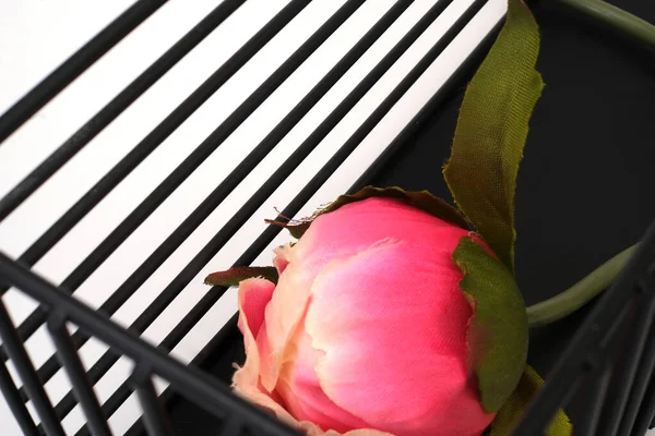 Symbolisk Sammansättning Rosa Blomma Metallvas Isolerad Vit Bakgrund — Stockfoto