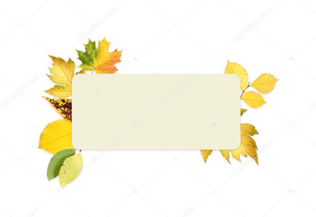 Letterhead template: white sheet of paper with autumn leaves isolated on white background