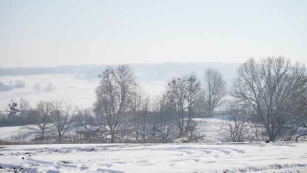 21.01.2018, Черновцы, Украина - Пейзаж с зимними деревьями, снежными горами и облаками — стоковое видео