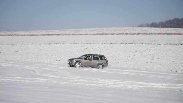 Auto wielen rijden op diepe sneeuw tijdens winterseizoen — Stockvideo