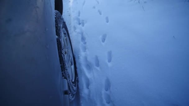 Kör genom tjock snö med snö snärta upp på kameran — Stockvideo