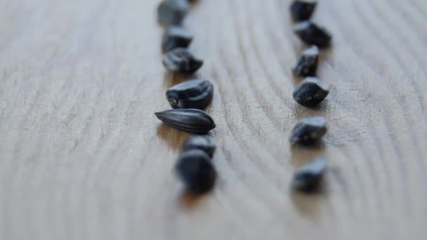 Sunflower seeds on the table. close up — Stock Video