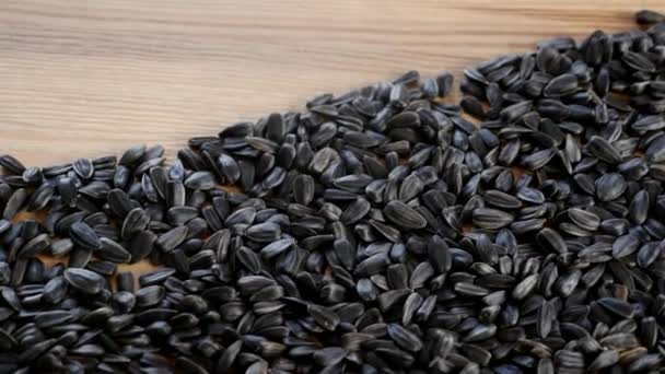 Sunflower seeds on the table. close up — Stock Video