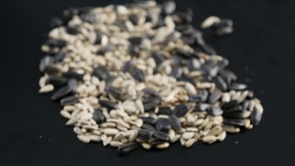 Pilha de sementes de girassol com sementes de girassol descascadas — Vídeo de Stock