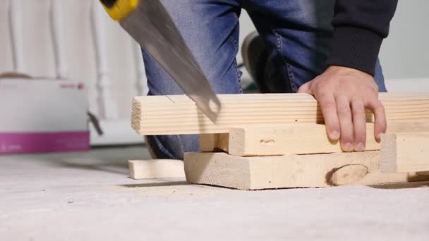Trabalhador serrar serra de madeira mão — Vídeo de Stock