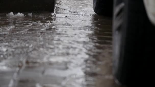 Flaque d'eau sur la route en hiver — Video