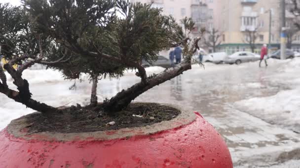 人々 の背景に道路の水たまりの上を歩く — ストック動画