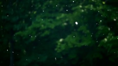 çok çok havada patlayan ve parkta baharda çember kavak beyaz kabarık tohumların