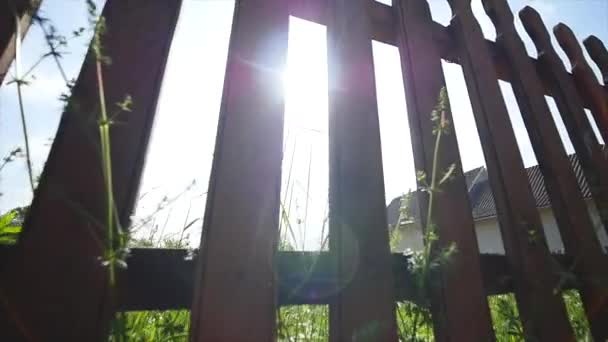 Zon schijnt door een nieuwe houten hek rond achtertuin dolly schot — Stockvideo