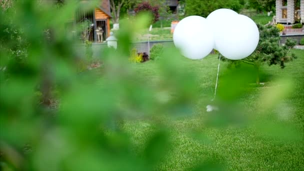Ballonnen in de tuin. De wind waait de ballen. bomen, huis. De ceremonie van het huwelijk, natuur — Stockvideo