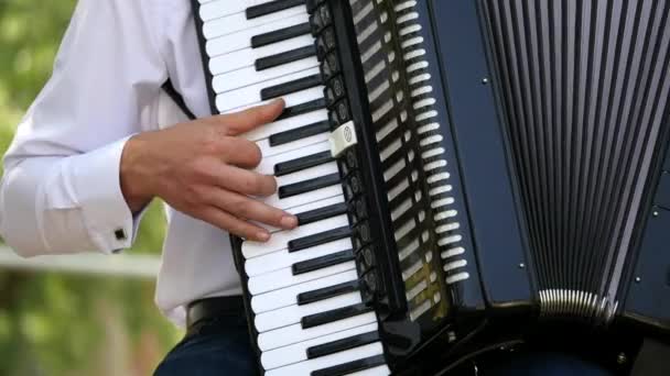 Dorosły człowiek odgrywa akordeon. Kwartet muzyczny gra. Koncertują na koncercie. Muzyk gra na akordeonie. Uliczni grajkowie — Wideo stockowe