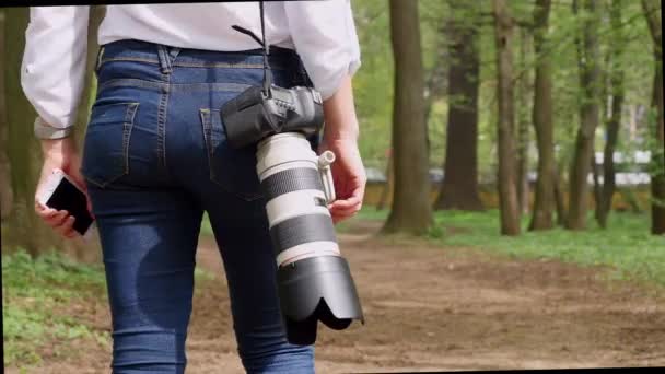 Mujer joven fotógrafa proceso de trabajo rodaje al aire libre en la naturaleza parque — Vídeos de Stock