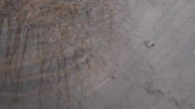 Asfalt akan eriyen kar üzerinden su akar. Kar eritme bahar.