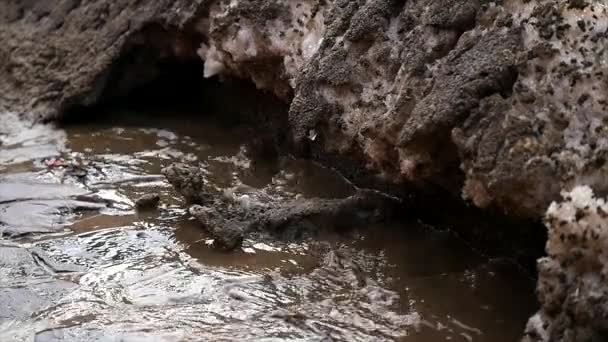 冬天路上的水坑 — 图库视频影像