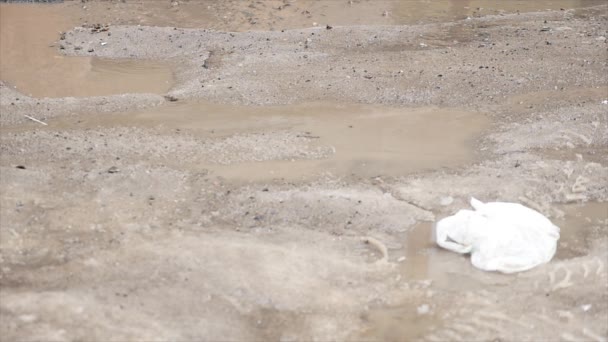 L'acqua scorre dalla neve che si scioglie e scorre lungo l'asfalto. Primavera neve sciogliente . — Video Stock