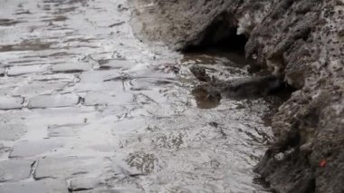 Bahar geçilmez yol yok. Kar uzun boylu sudan yolun doldurur. Bahar Orman hemen sonra kar erir.