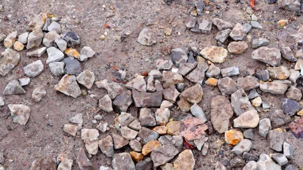 Wet stones background. close up — Stock Video