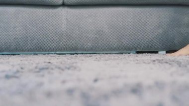 Kadın ayakları yerde bir gri halı üzerinde yürüyor. Tüylü halı yukarıdan. Modern tarz.