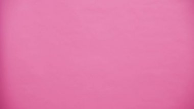 Genç aşıklar birkaç yabani tavşan atların üreyen pembe arka plan üzerinde görüntülenir. Kafasına pembe tavşan kulakları ile. Paskalya kavramı. Yavaş video.