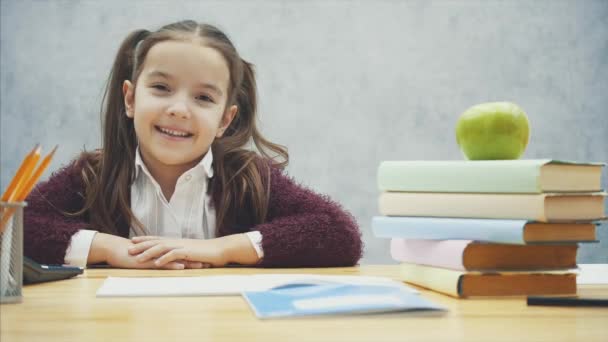 Trecce acconciatura intelligente concetto di prima elementare. Close up studio foto ritratto di carino bella dolce adorabile elegante sorriso dentato scolaro che punta bastone in mano isolato luminoso sfondo pastello — Video Stock