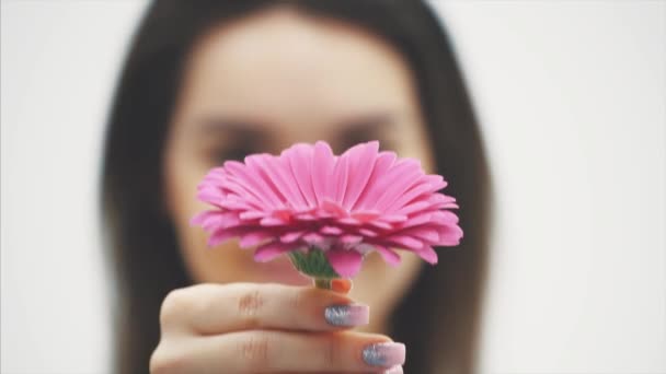 Fiatal csinos lány állt fehér alapon. Ezalatt a kezével emelte a virágot. Pink virág a homályos háttér egy gyönyörű lány. — Stock videók