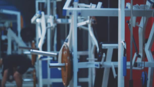 Jonge Beauty trainer in de sportschool. Gedurende deze tijd voert de atleet regelmatig trainingen uit met dumbbells. Gekleed in een zwart t-shirt. — Stockvideo