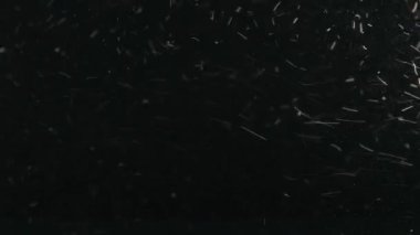 Kaotik yüzen, düşen kar taneleri ile güzel soyut kış kar arka plan.