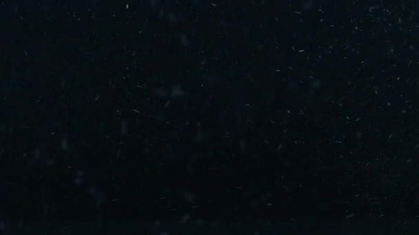 Beautiful abstract winter snow background with falling snowflakes, floating chaotically. — Stock Video