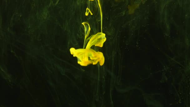 Sárga átlátszó füst virágok jelennek meg a sötét háttérben kis pontokkal és környezeti zöld köd. — Stock videók