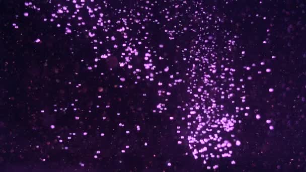 Glitzernder dunkler Hintergrund, der plötzlich von zahlreichen lila Schneeball-Bokeh-Lichtern erfüllt wird, die von oben herabfallen. — Stockvideo