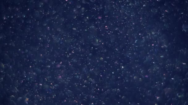 Glinsterende transparante bokeh-bubbels bewegen langzaam op de donker blauwe achtergrond, glimmende. — Stockvideo