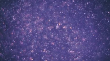 Abstract violet background with chaotical motion of transparent soap bubbles. Balls rotation, abstract molecular brownian motion.