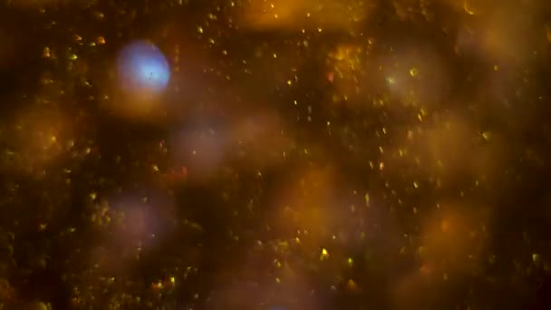Gold magical blinking bokeh particles like bubbles. Glitter moving space dust. Seamless loop abstract background. — Stockvideo