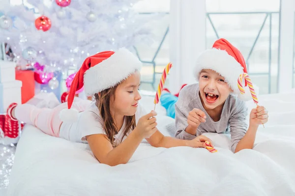 Calda atmosfera natalizia in cui sorella e fratello gioiosi che giocano con bastoncini di zucchero, imitando una lotta con la spada . — Foto Stock