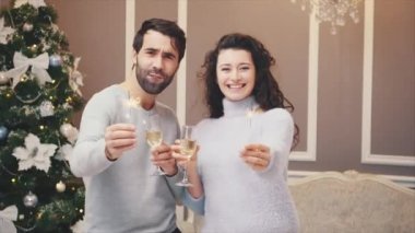 Mutlu Noeller ve mutlu yıllar konsepti.