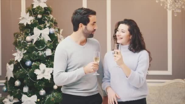 Rostning med champagneglas mot julbelysning och julgran. — Stockvideo