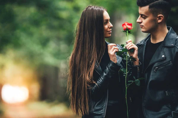 Щаслива дівчина з червоною трояндою дякує своєму хлопцеві під час прогулянки в парку під час золотого заходу сонця . — стокове фото