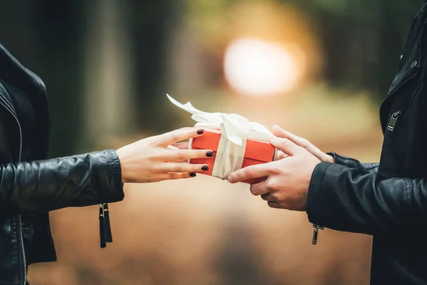 Beskuren skott av händer och presentask, mannen ger sin flickvän en present bunden med vitt band över suddig höst bakgrund. — Stockfoto