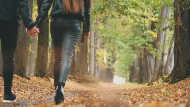 Una pareja amorosa camina en el parque de otoño. Vista trasera. Mirada negra total. Copiar espacio. 4K . — Vídeo de stock