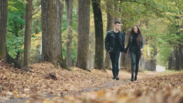 Un couple amoureux se promène dans le parc d'automne. Un total look noir. Fond flou. Une récolte. Espace de copie. 4K . — Video