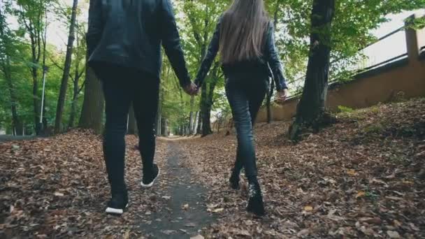 Unerkennbares Paar spaziert durch Herbstpark. Totaler schwarzer Look. Unscharfer Hintergrund. Rückansicht. Ernte. Kopierraum. 4K. — Stockvideo