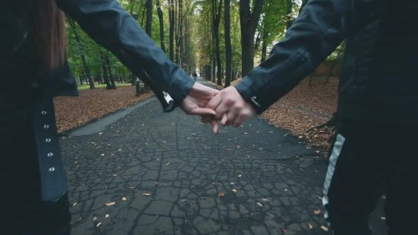 Un couple amoureux se promène et parle dans le parc d'automne. Ferme les mains. Vue de derrière. Au ralenti. Espace de copie. 4K . — Video