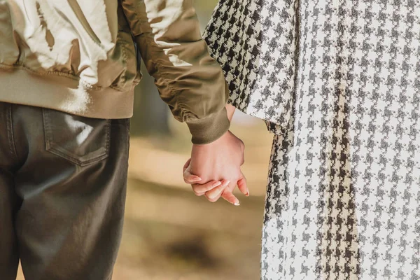 Beskuren baksida av unga par som håller händer, promenader i parken under hösten. — Stockfoto