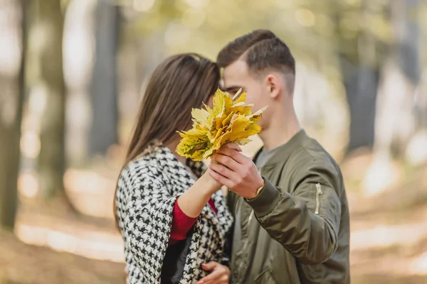 Φθινοπωρινή διάθεση. Μπουκέτο φωτεινά πολύχρωμα φύλλα του φθινοπώρου στα χέρια δύο ανθρώπων στην αγάπη, φιλιά κατά θολή φόντο πάρκο. — Φωτογραφία Αρχείου